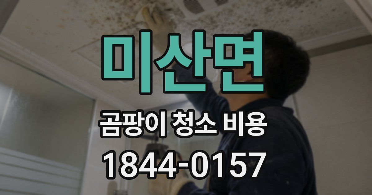 미산면 곰팡이 청소 비용