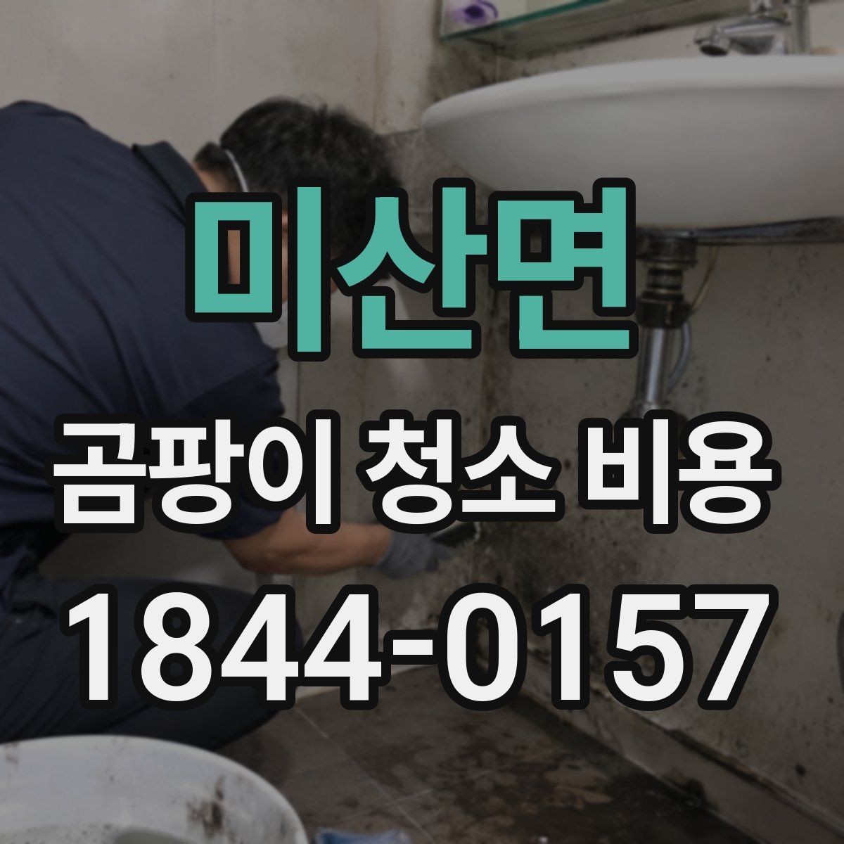 미산면 곰팡이 청소 비용
