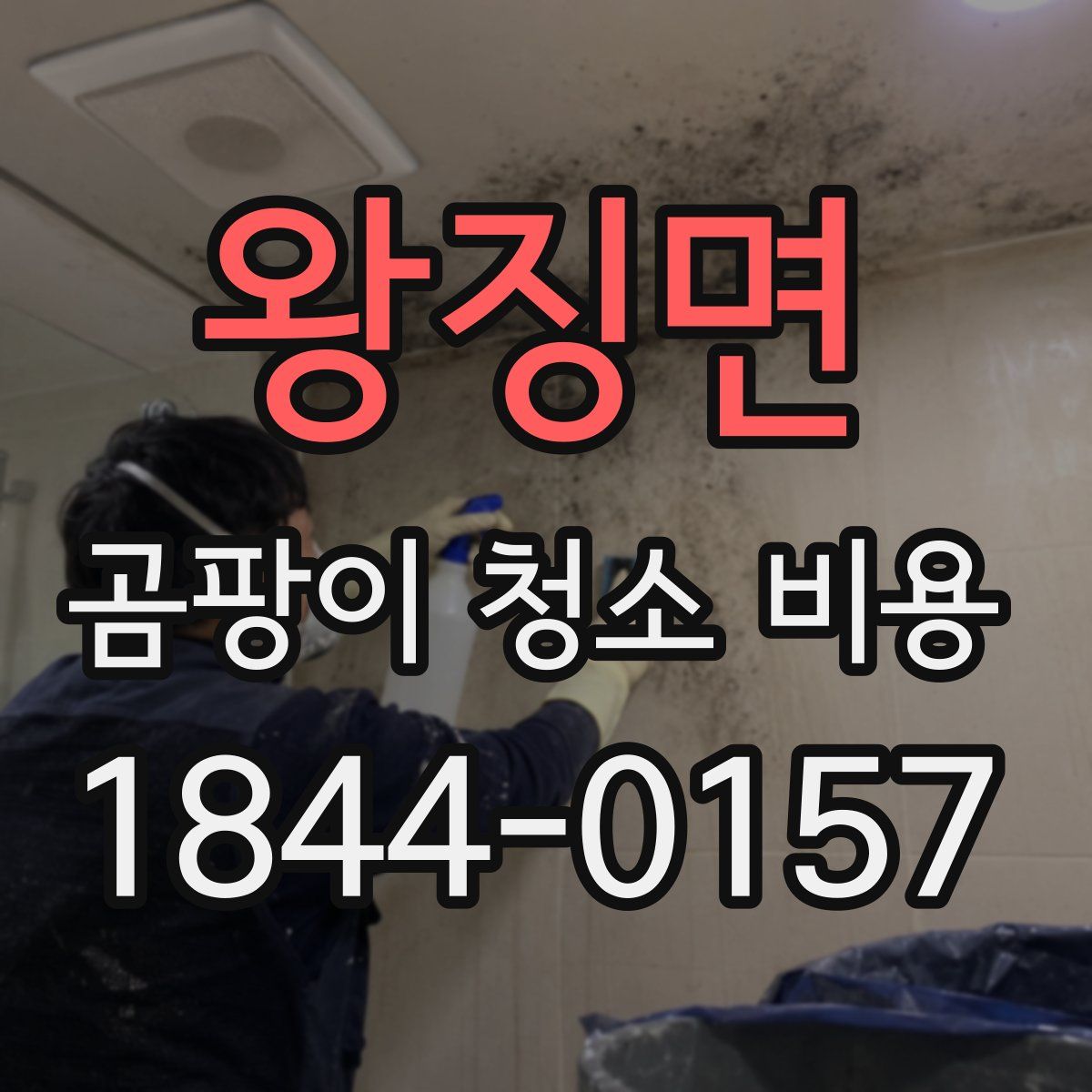 왕징면 곰팡이 청소 비용