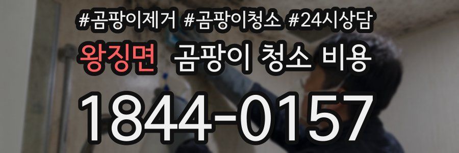 왕징면 곰팡이 청소 비용