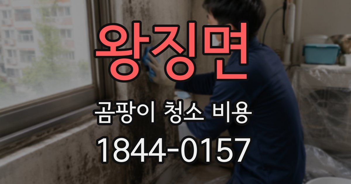왕징면 곰팡이 청소 비용