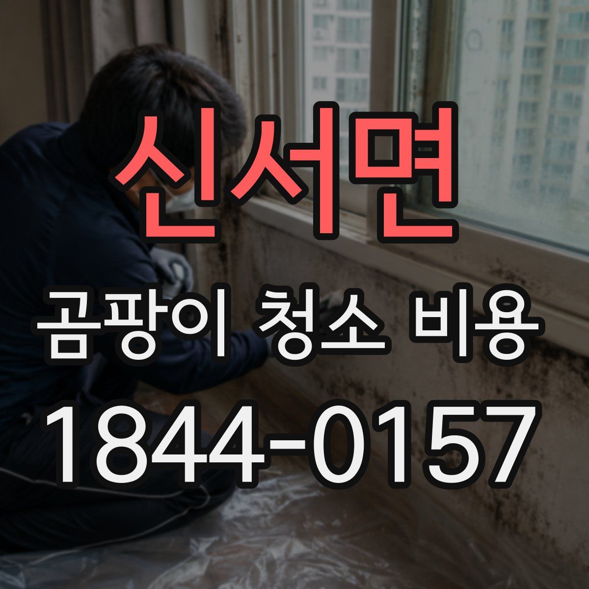 신서면 곰팡이 청소 비용