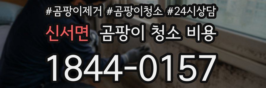 신서면 곰팡이 청소 비용
