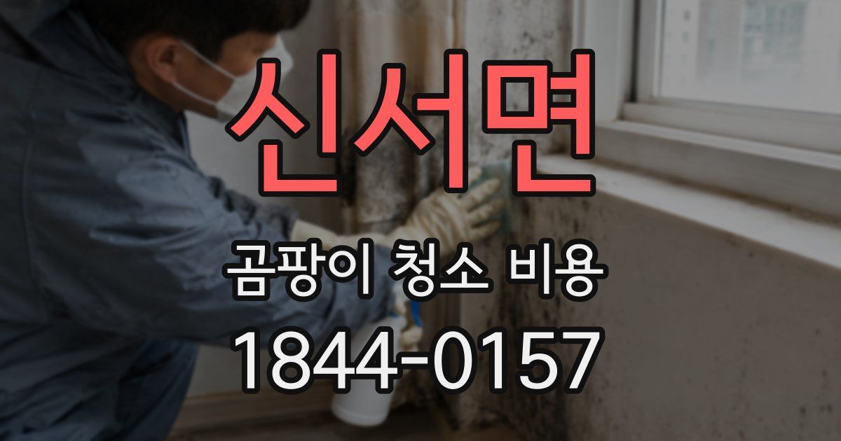 신서면 곰팡이 청소 비용
