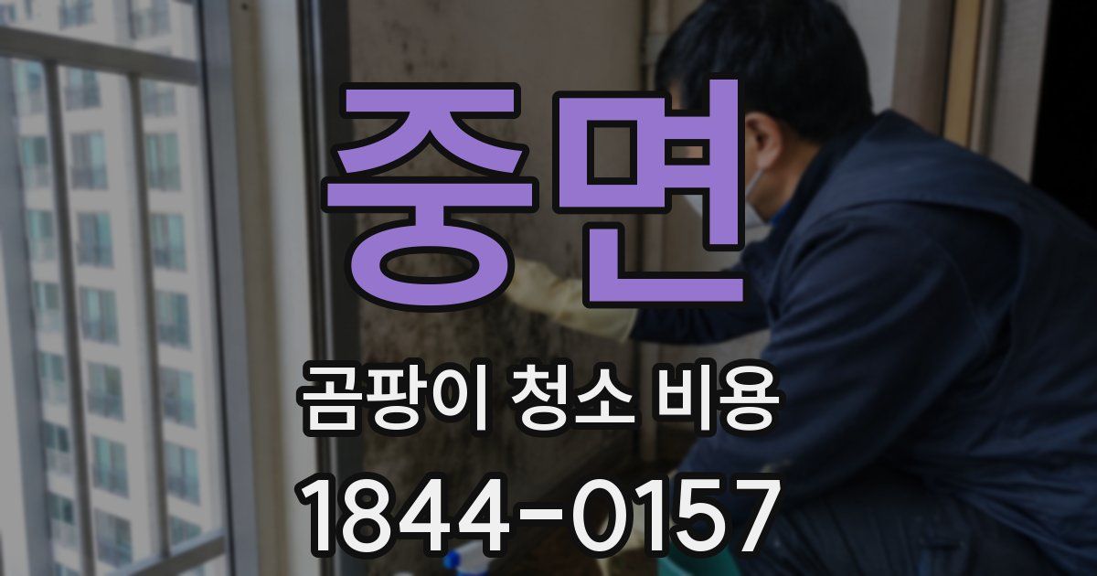 중면 곰팡이 청소 비용
