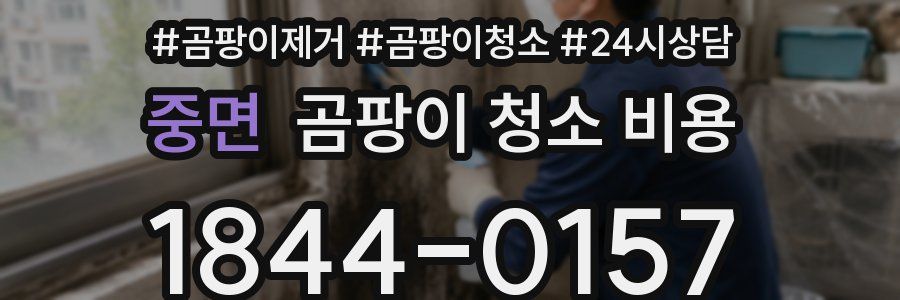 중면 곰팡이 청소 비용