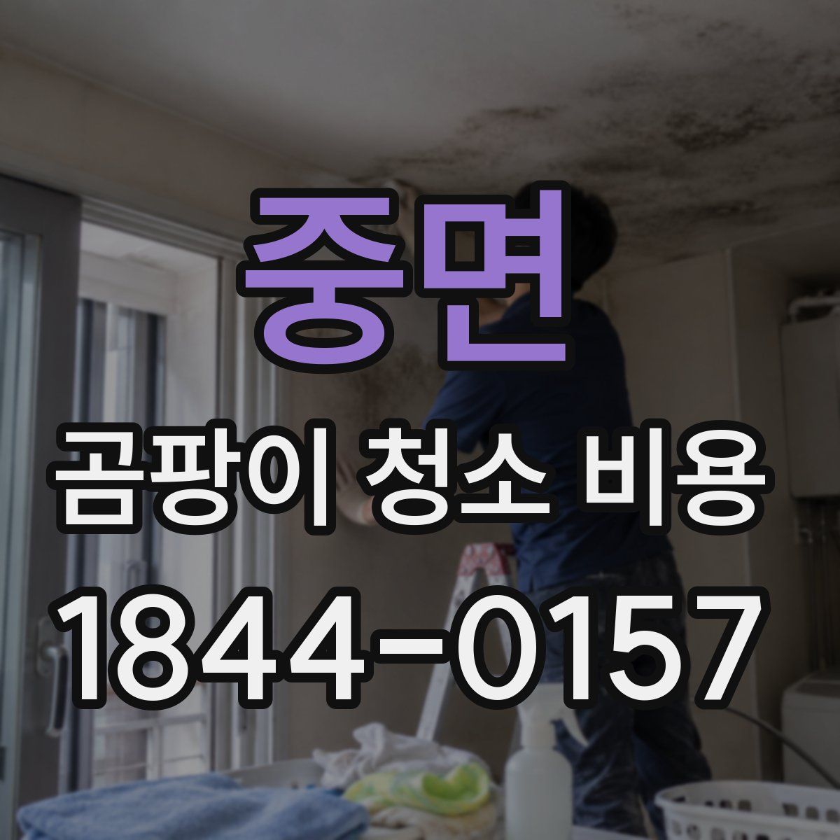 중면 곰팡이 청소 비용