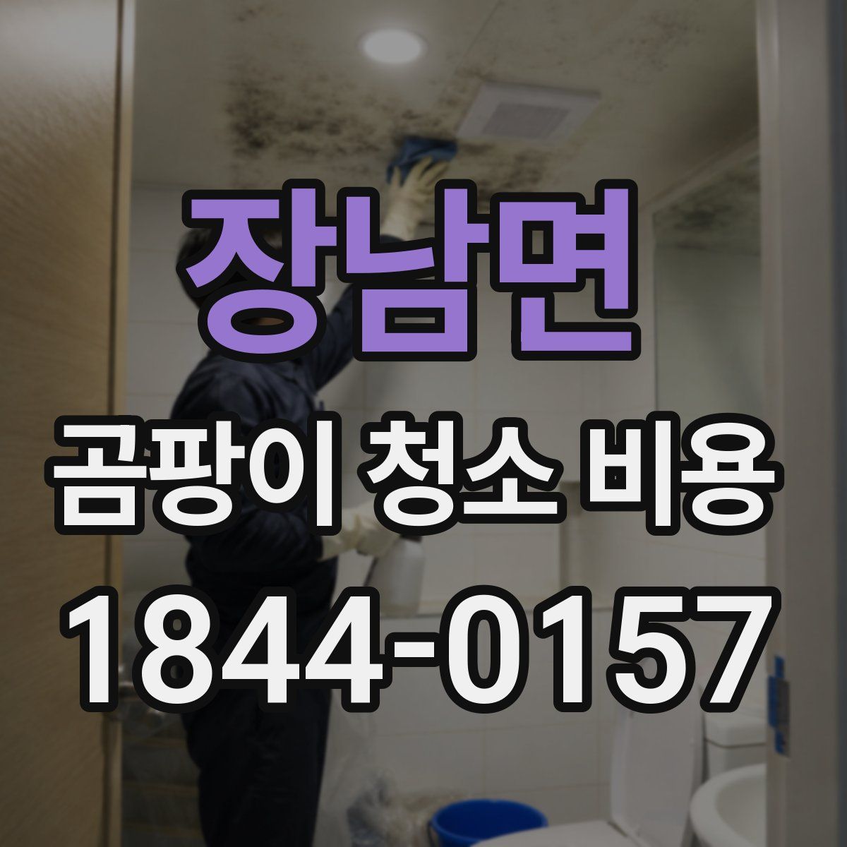 장남면 곰팡이 청소 비용