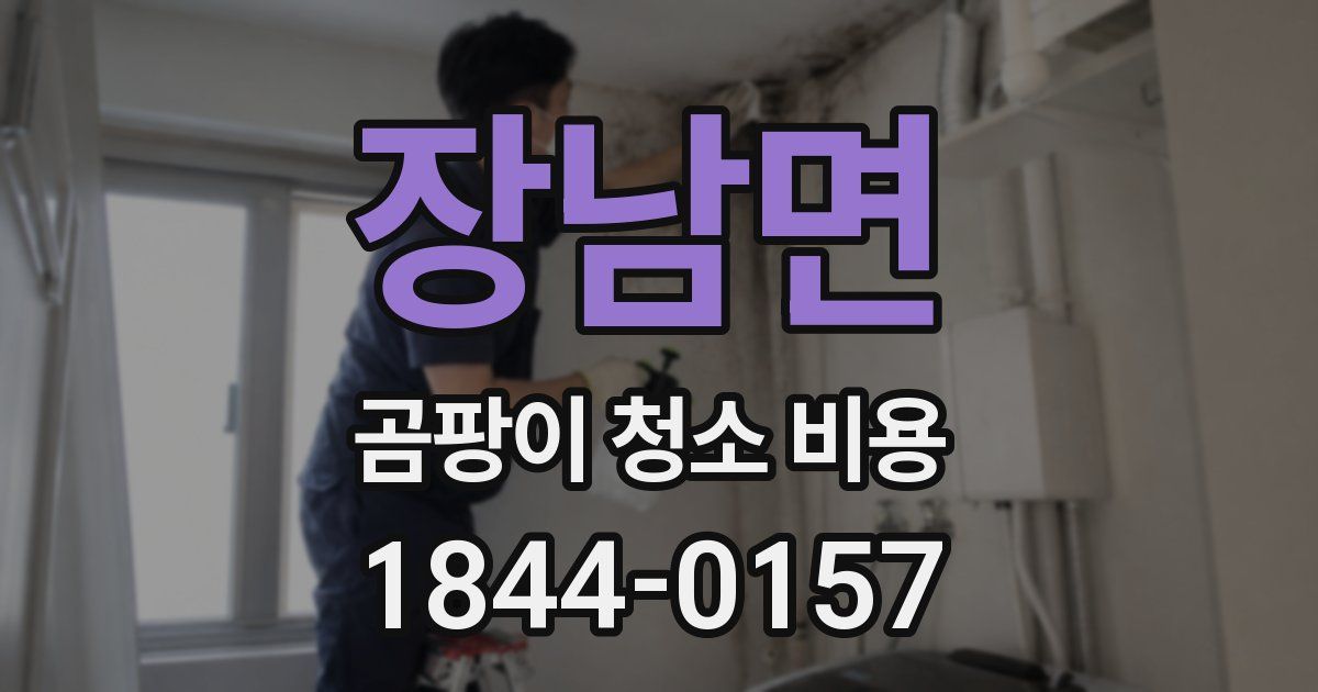 장남면 곰팡이 청소 비용