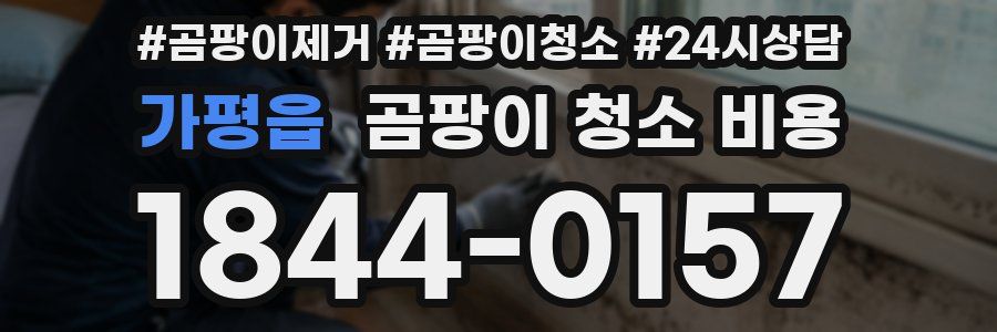 가평읍 곰팡이 청소 비용