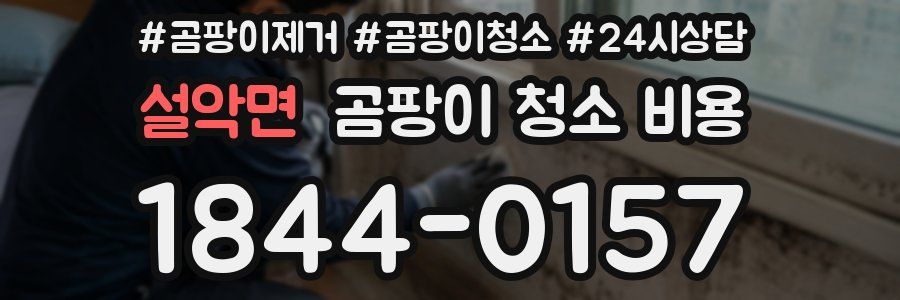 설악면 곰팡이 청소 비용