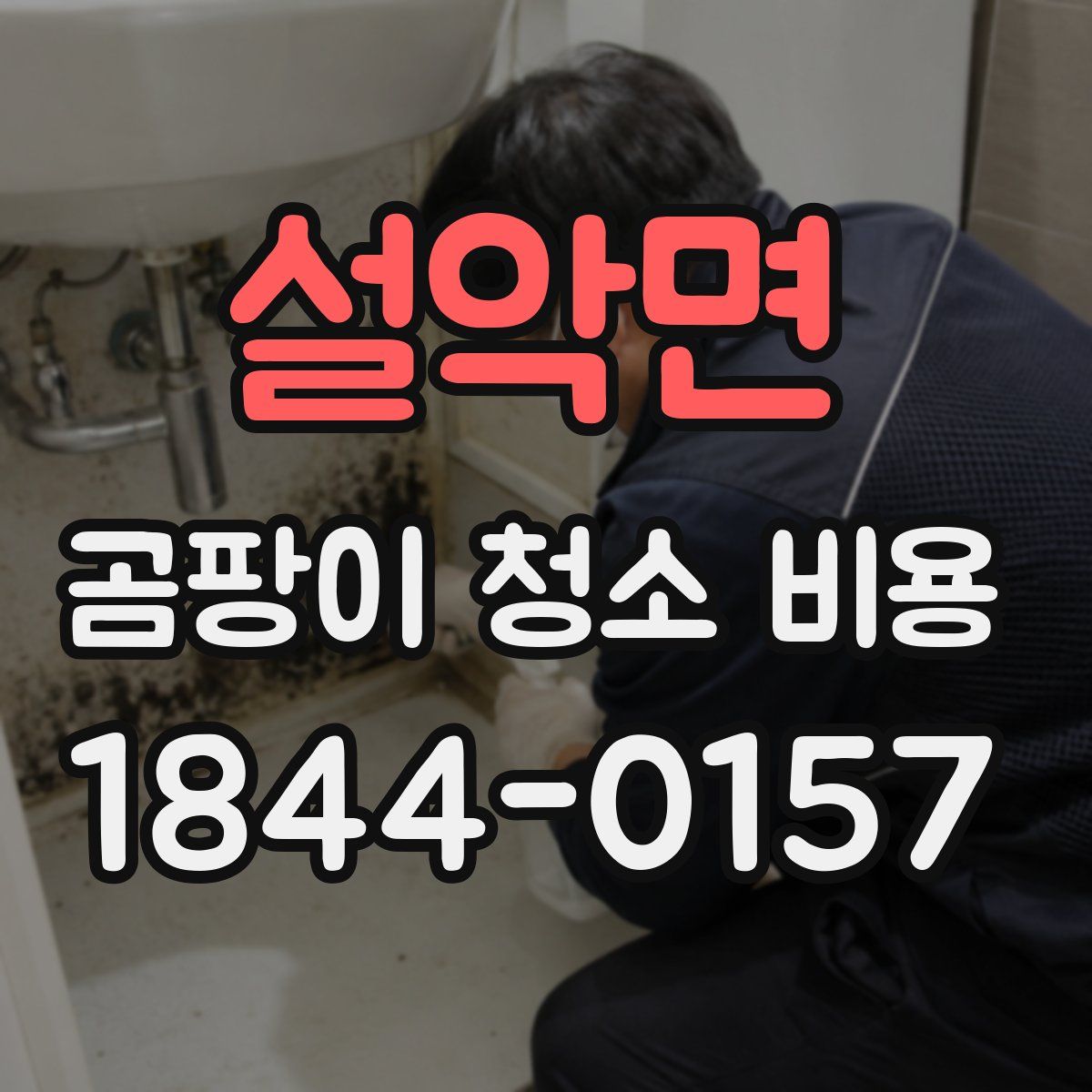 설악면 곰팡이 청소 비용