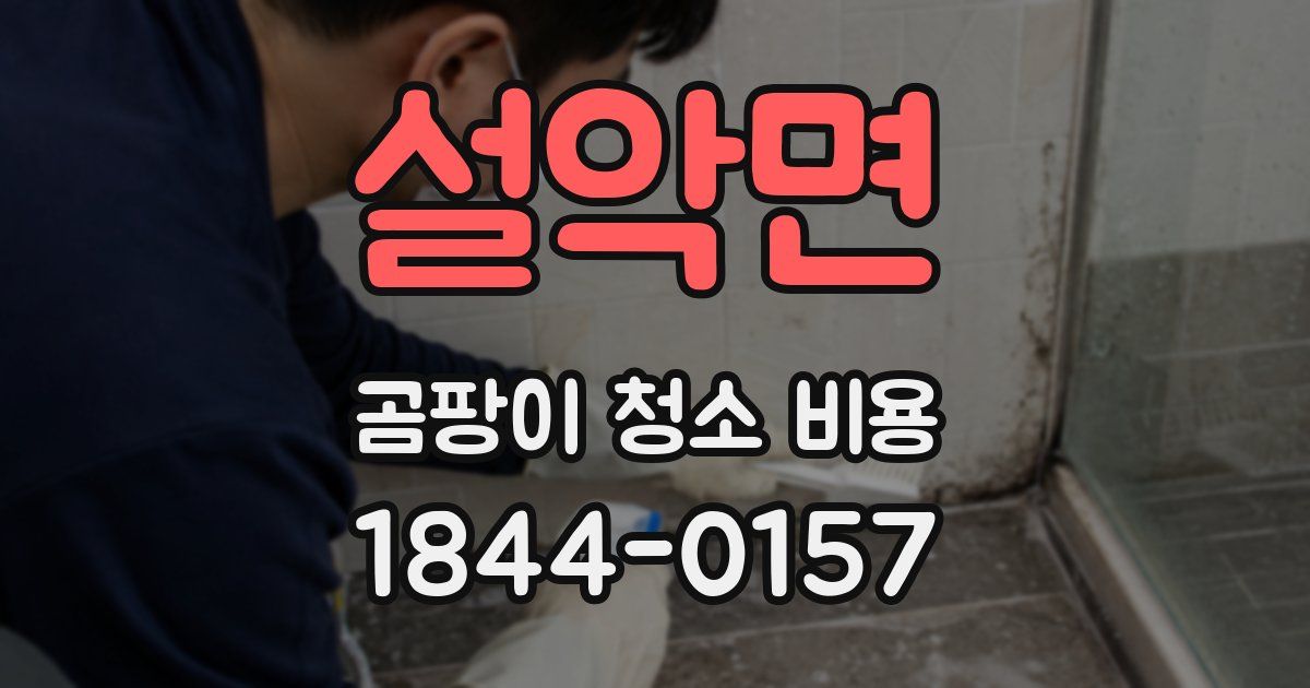 설악면 곰팡이 청소 비용