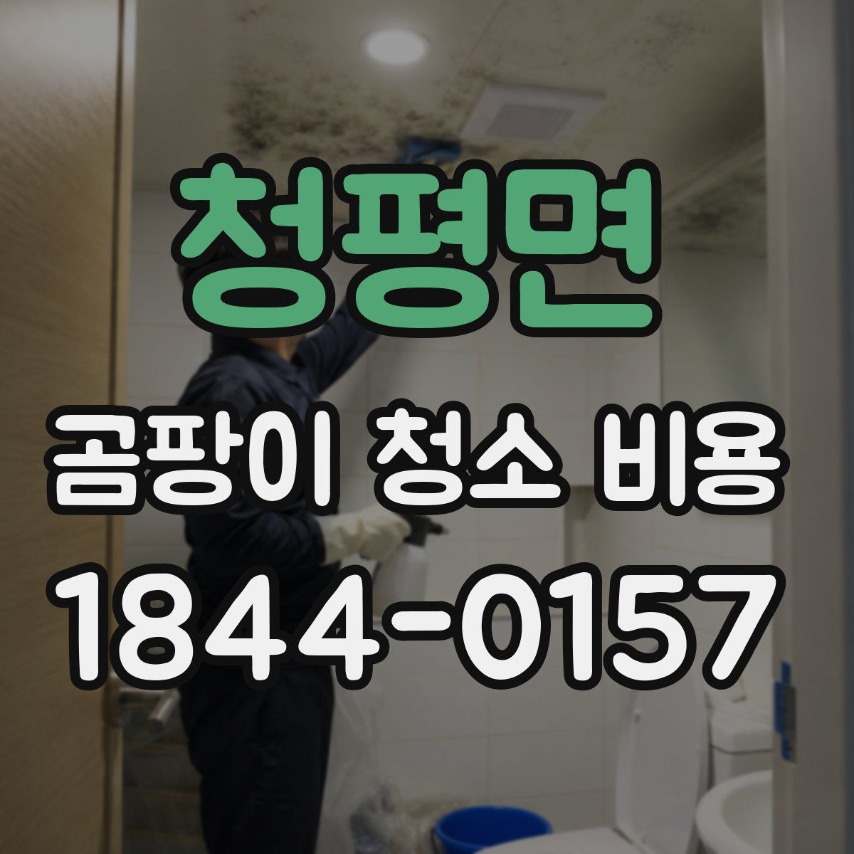 청평면 곰팡이 청소 비용