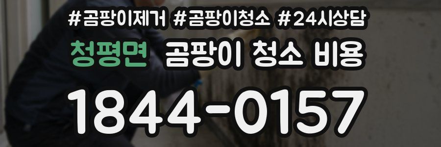 청평면 곰팡이 청소 비용