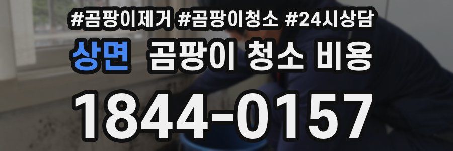 상면 곰팡이 청소 비용