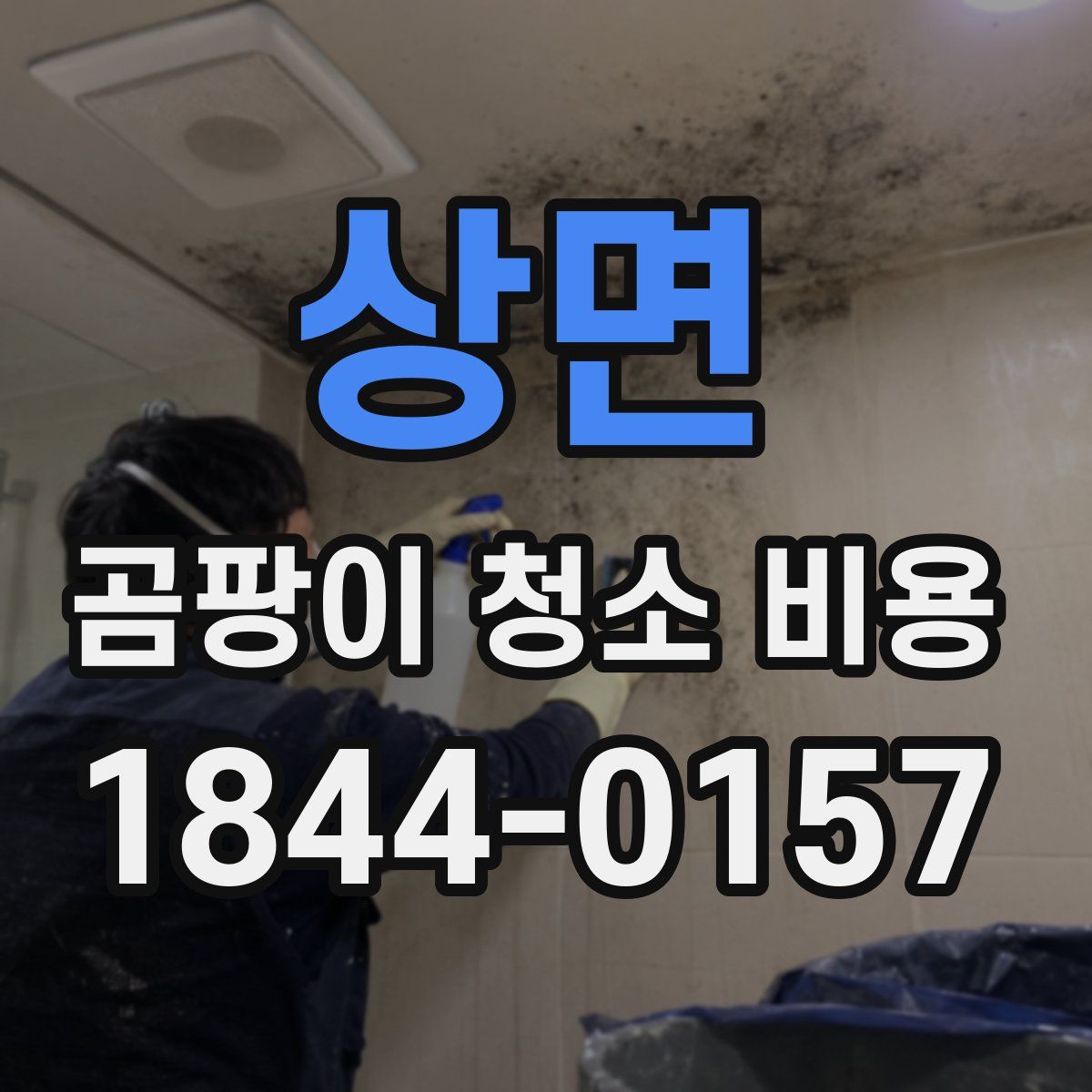 상면 곰팡이 청소 비용