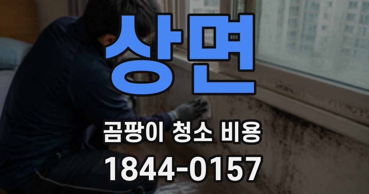 상면 곰팡이 청소 비용