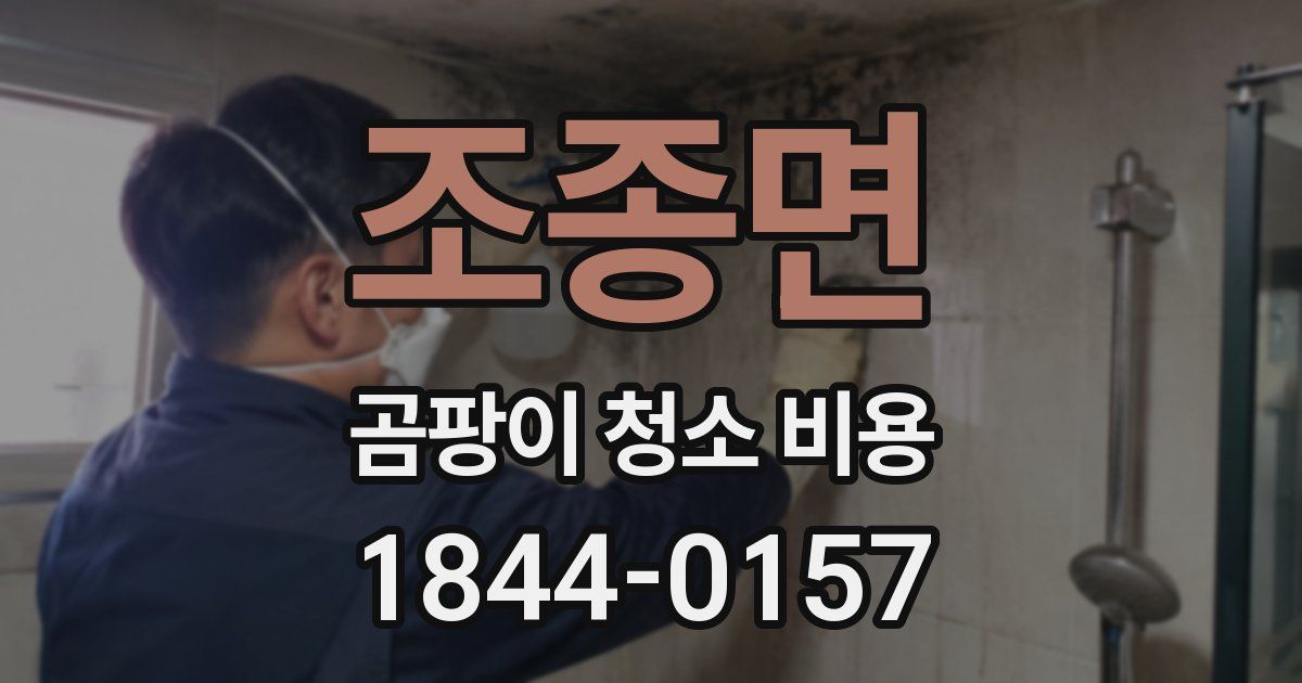 조종면 곰팡이 청소 비용