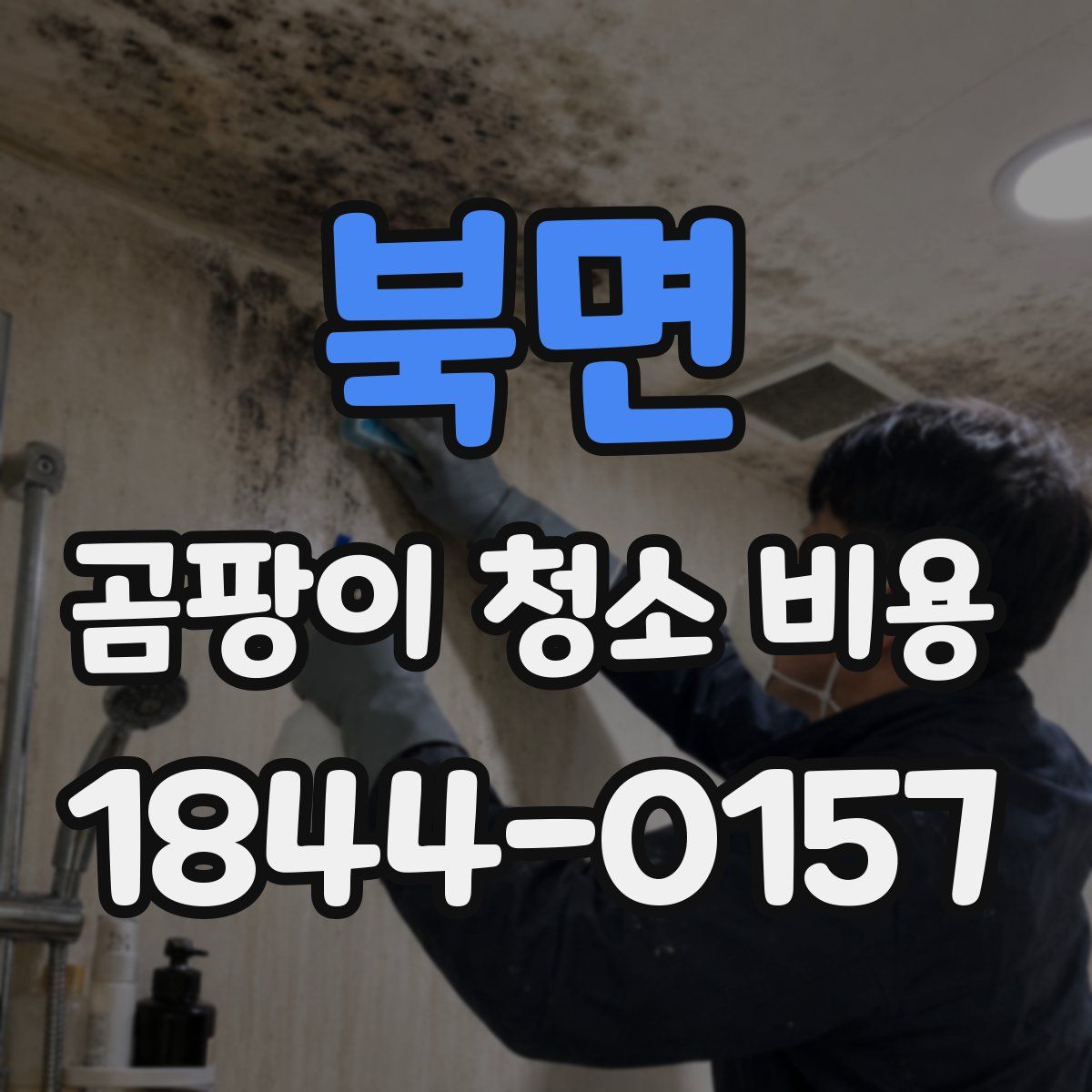 북면 곰팡이 청소 비용
