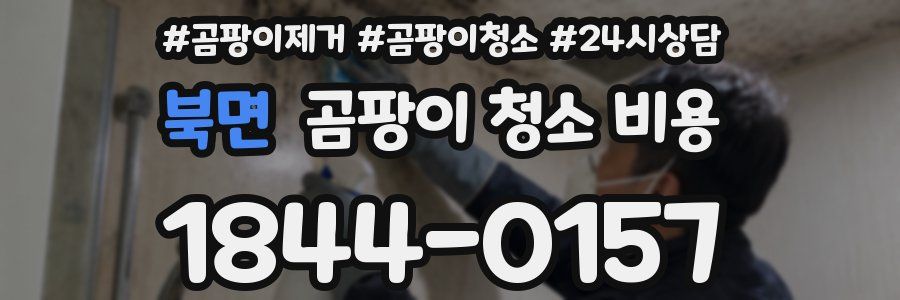 북면 곰팡이 청소 비용
