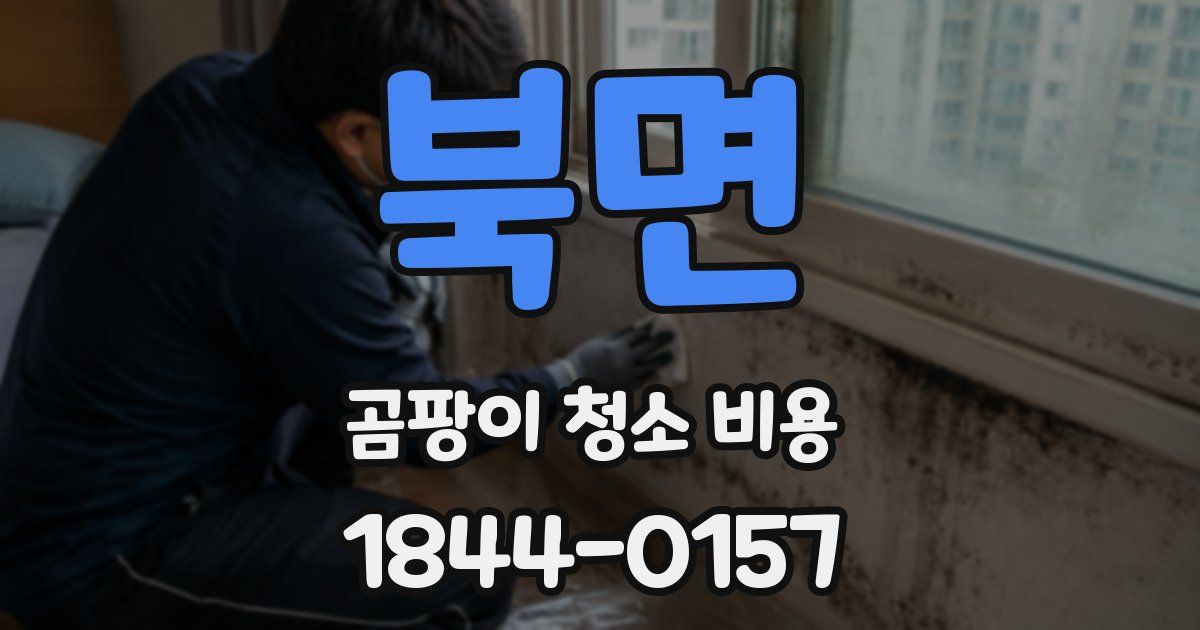 북면 곰팡이 청소 비용