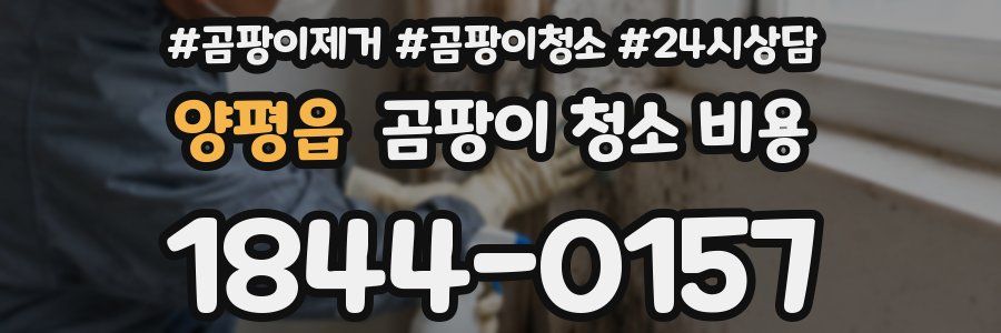 양평읍 곰팡이 청소 비용