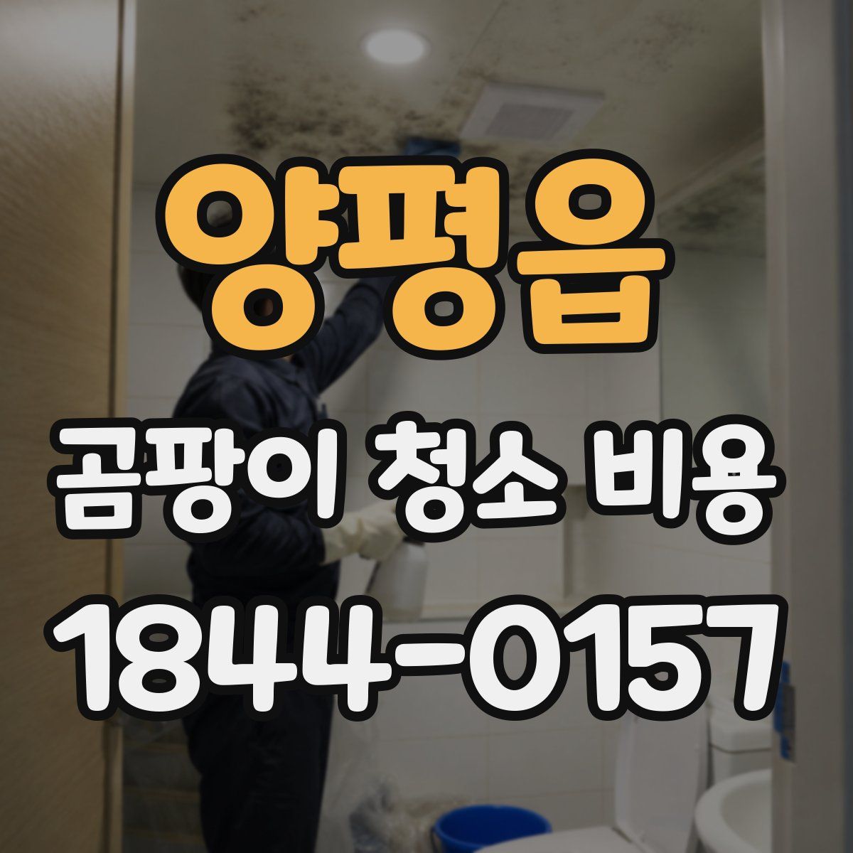 양평읍 곰팡이 청소 비용