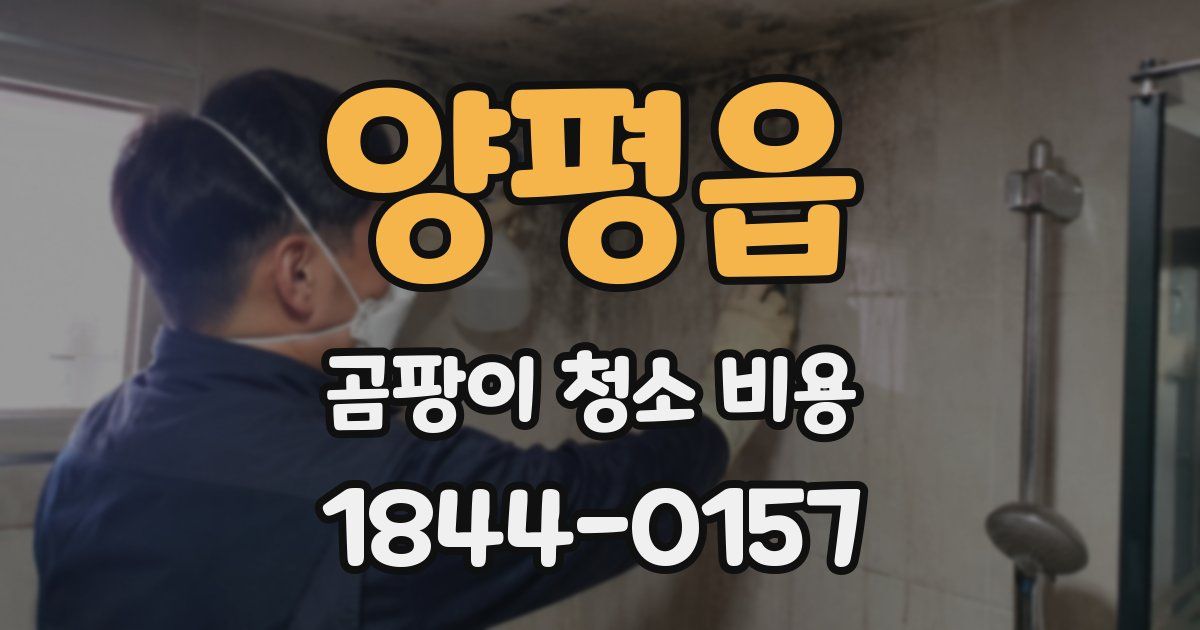 양평읍 곰팡이 청소 비용