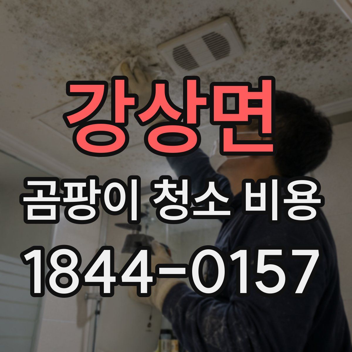 강상면 곰팡이 청소 비용