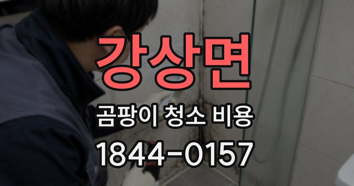 강상면 곰팡이 청소 비용