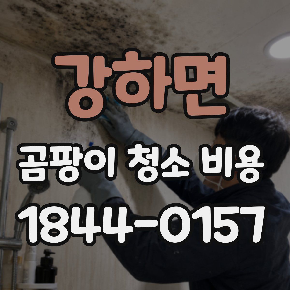 강하면 곰팡이 청소 비용
