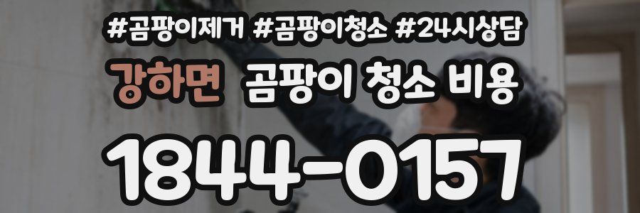 강하면 곰팡이 청소 비용