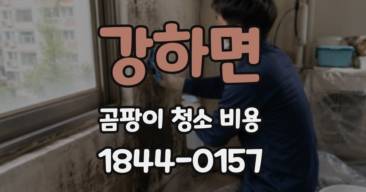 강하면 곰팡이 청소 비용