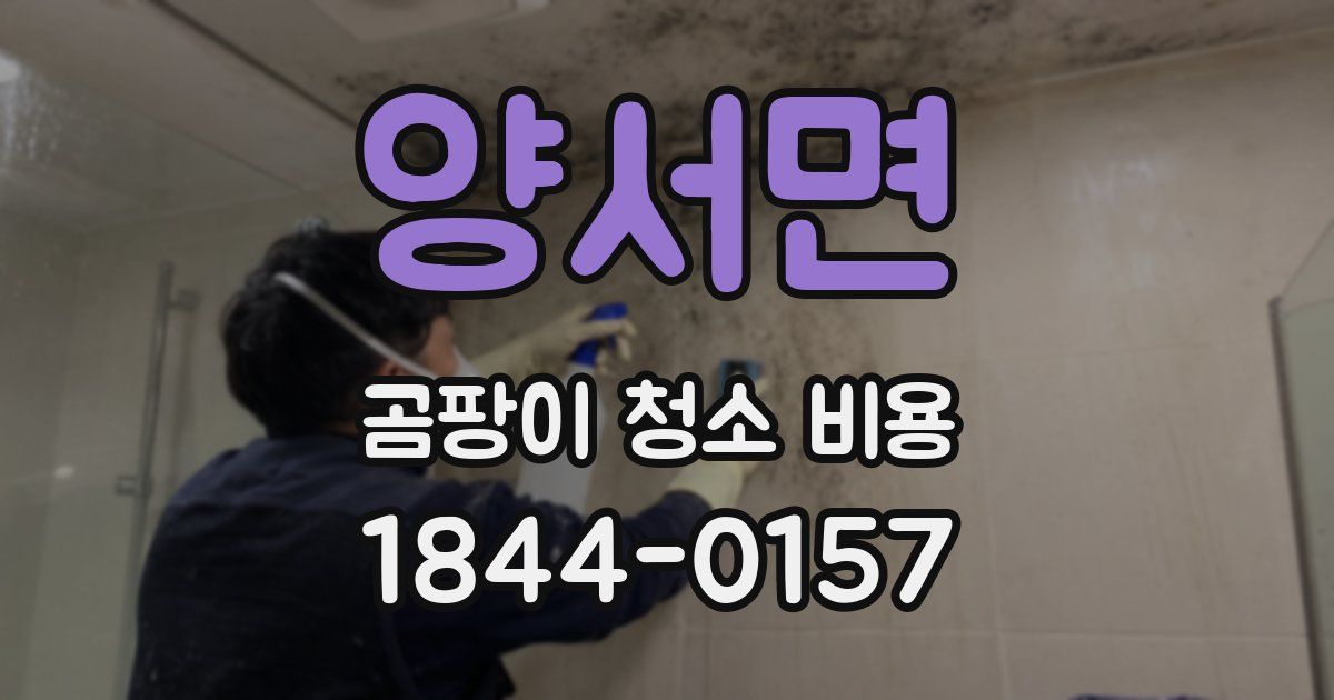 양서면 곰팡이 청소 비용