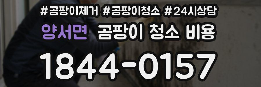 양서면 곰팡이 청소 비용
