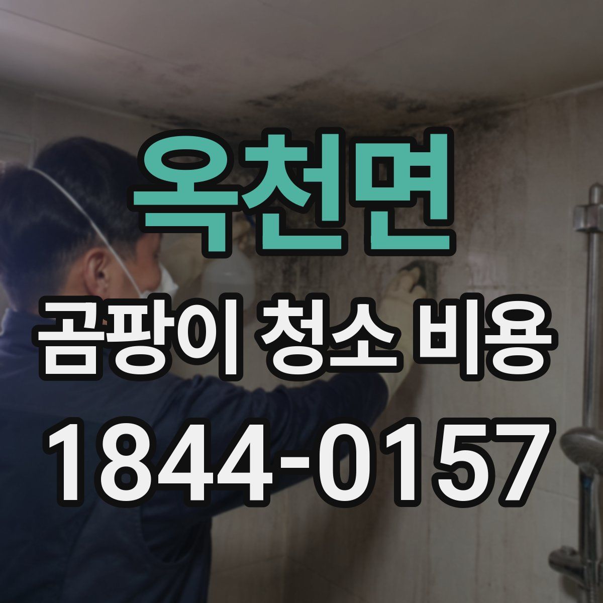 옥천면 곰팡이 청소 비용