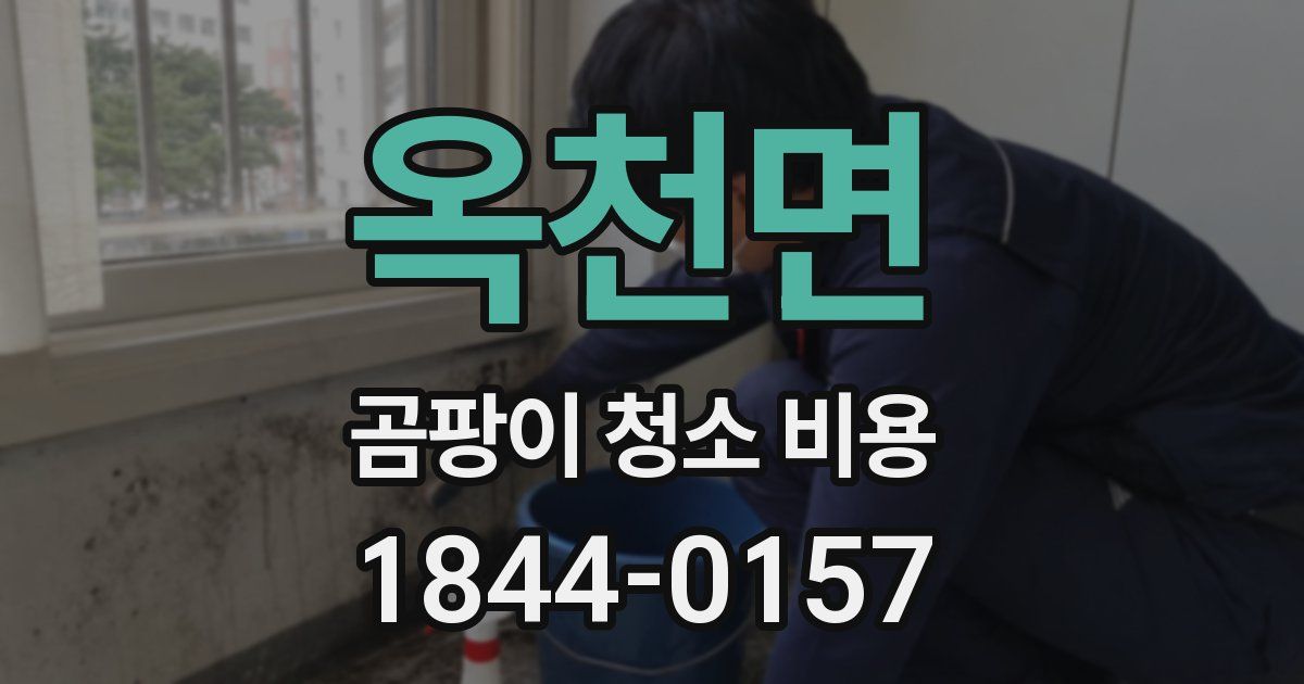 옥천면 곰팡이 청소 비용