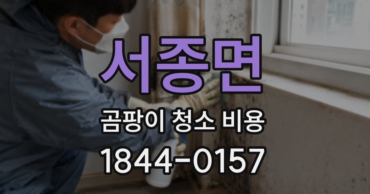 서종면 곰팡이 청소 비용