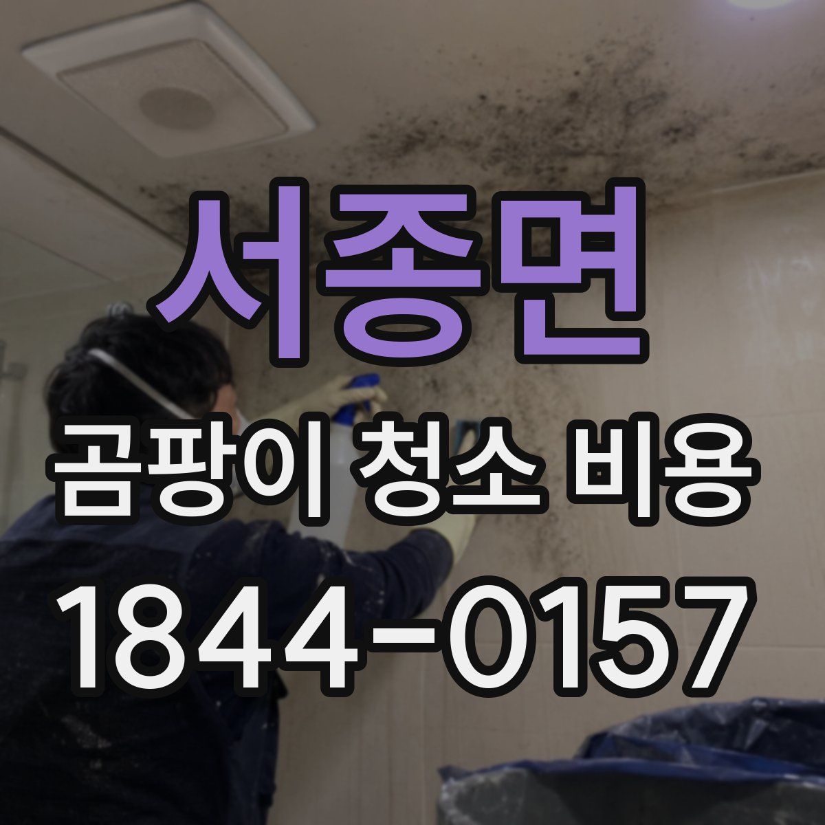 서종면 곰팡이 청소 비용