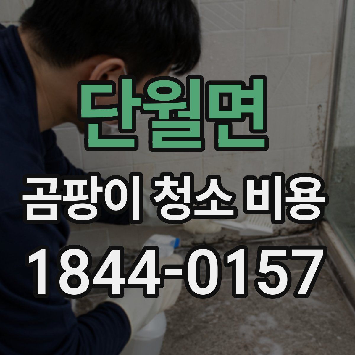 단월면 곰팡이 청소 비용
