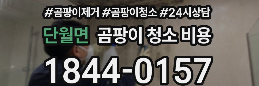 단월면 곰팡이 청소 비용