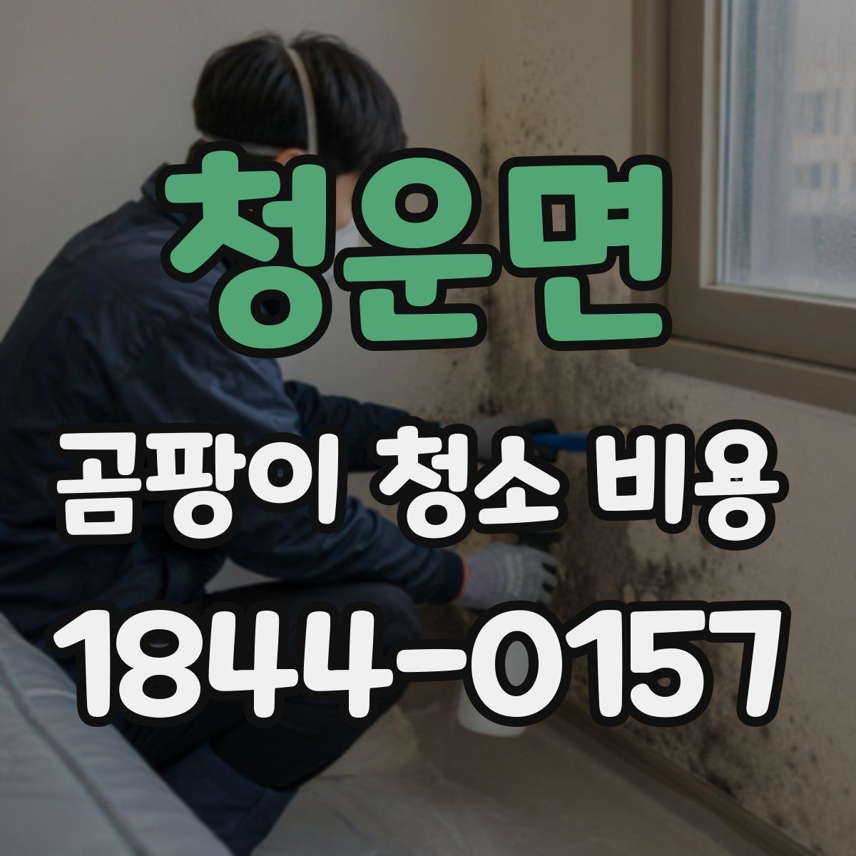 청운면 곰팡이 청소 비용