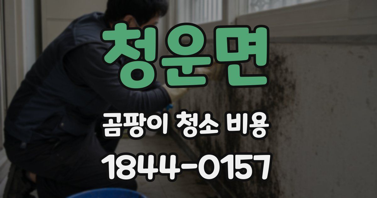 청운면 곰팡이 청소 비용