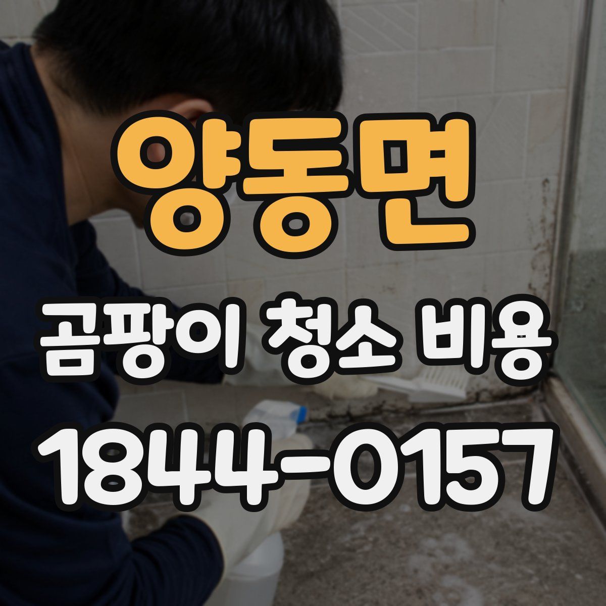 양동면 곰팡이 청소 비용