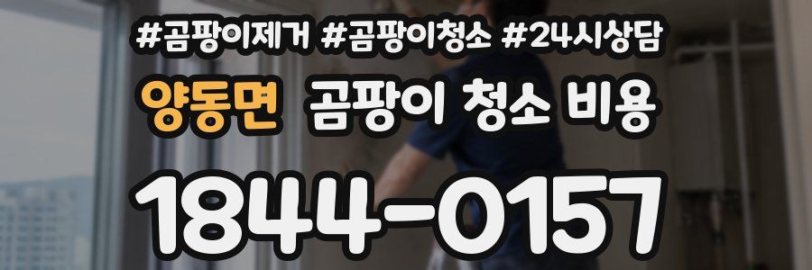양동면 곰팡이 청소 비용