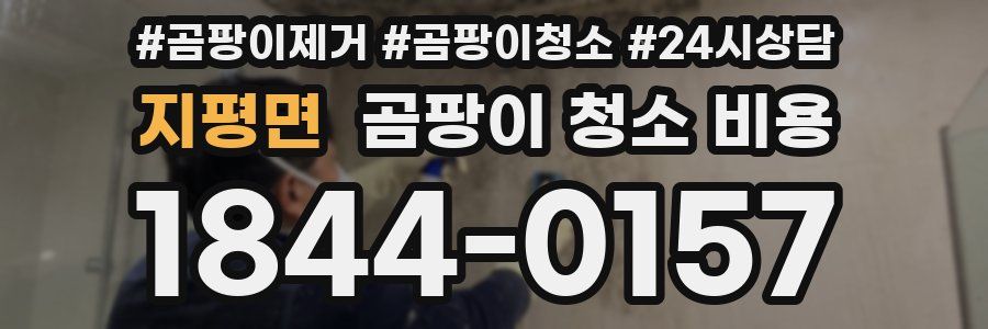지평면 곰팡이 청소 비용