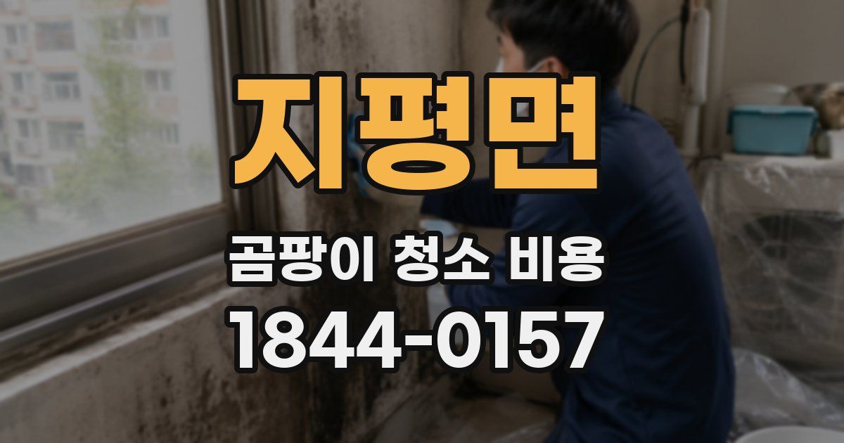 지평면 곰팡이 청소 비용