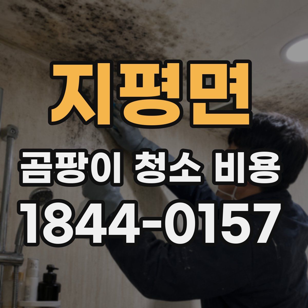 지평면 곰팡이 청소 비용
