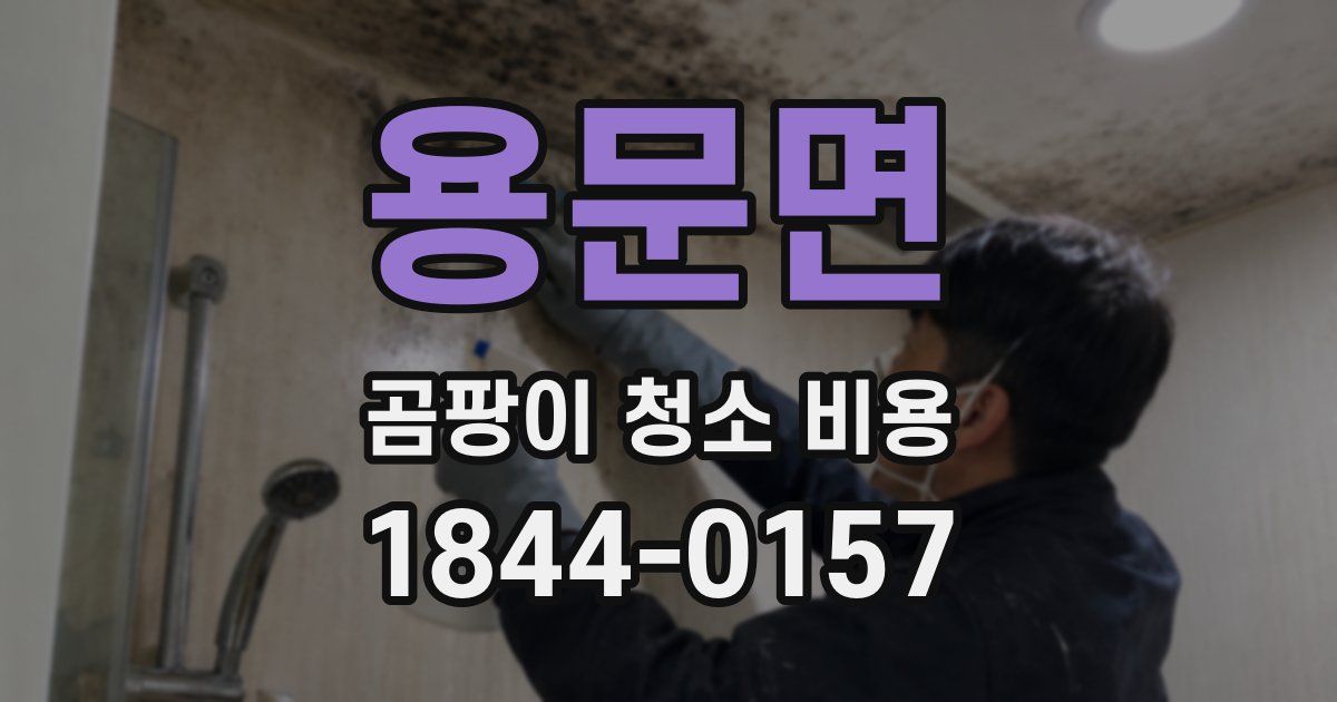 용문면 곰팡이 청소 비용